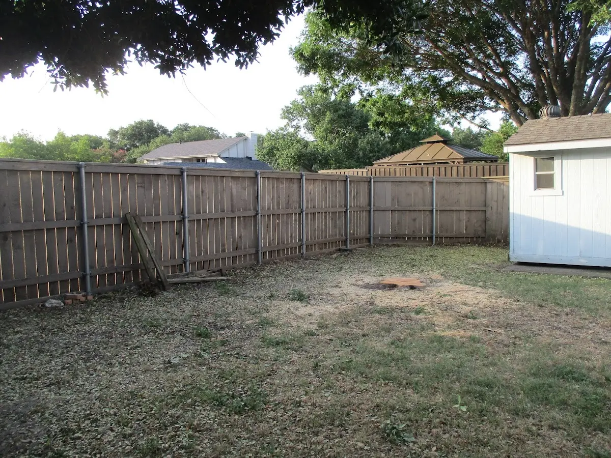 Cleared yard after professional tree removal in Grundy